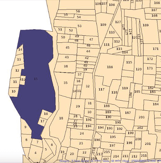 Survey Boundaries