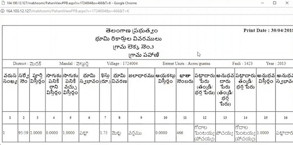 Telangana Pahani (Adangal)